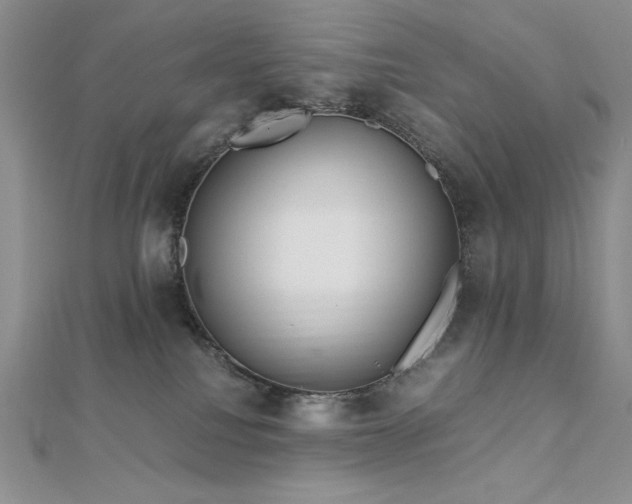 X0000113150088200909041243