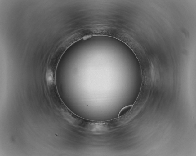 X0000113150089200909041243