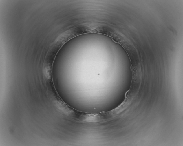 X0000113150090200909041243