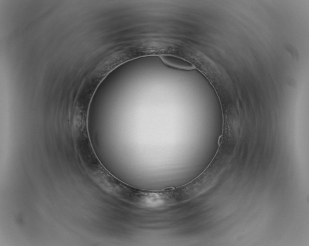 X0000113150091200909041243