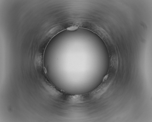 X0000113150092200909041243