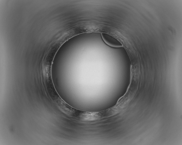 X0000113150093200909041243