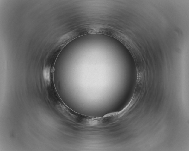 X0000113150094200909041243