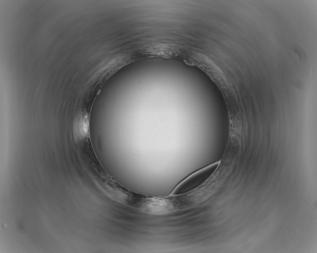 X0000113150095200909041243