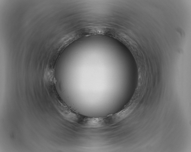 X0000113150096200909041243