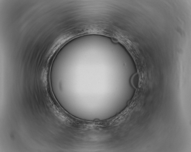 X0000113150098200909041242