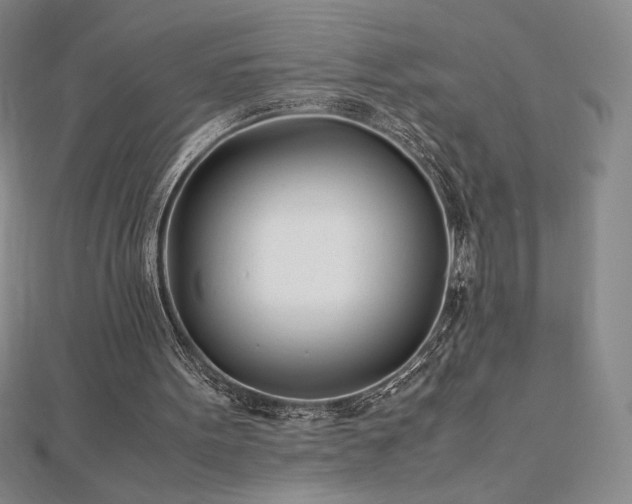 X0000113150099200909041242