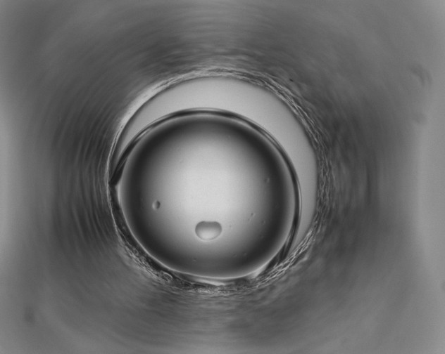 X0000113150100200909041242