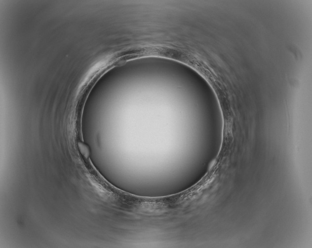 X0000113150101200909041242