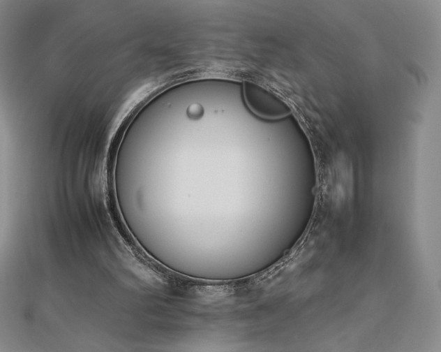 X0000113150102200909041242