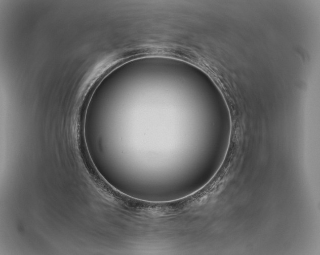 X0000113150103200909041242