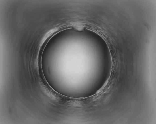 X0000113150104200909041242