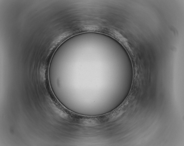 X0000113150106200909041242