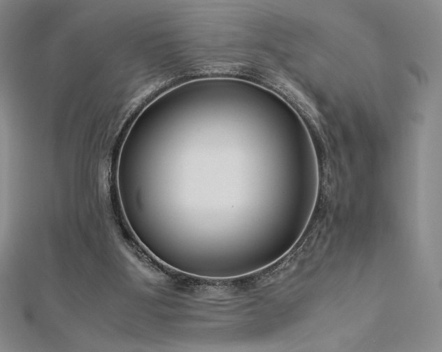 X0000113150107200909041242