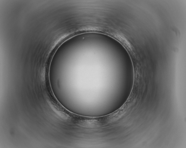 X0000113150108200909041242