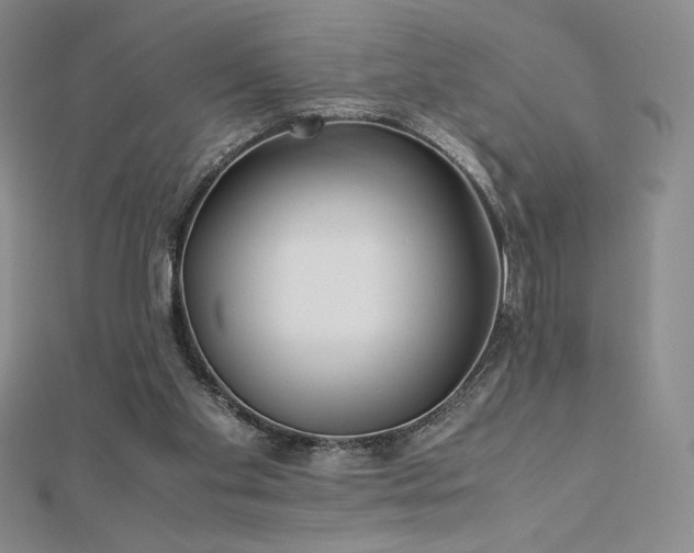 X0000113150109200909041242