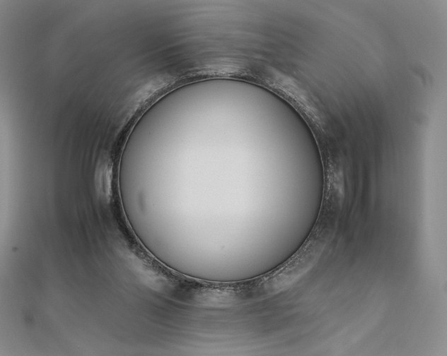 X0000113150110200909041242