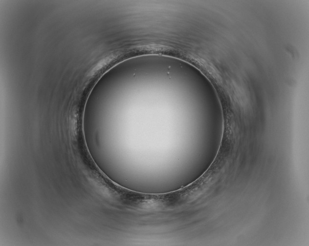 X0000113150111200909041242