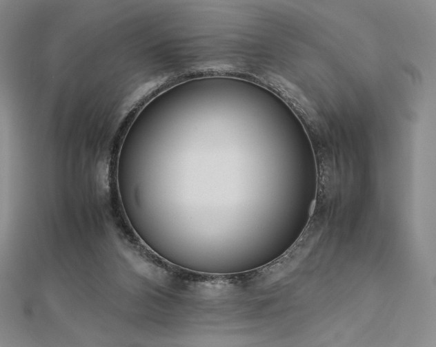 X0000113150112200909041242