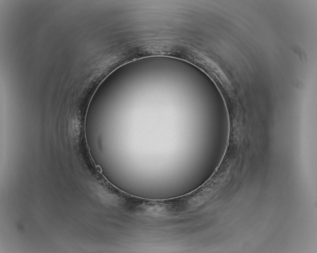 X0000113150113200909041242