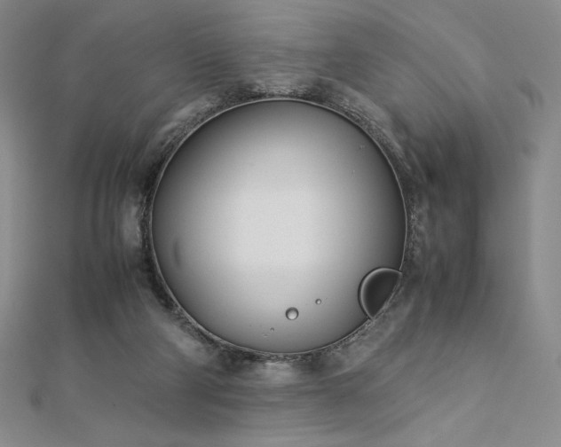 X0000113150114200909041242