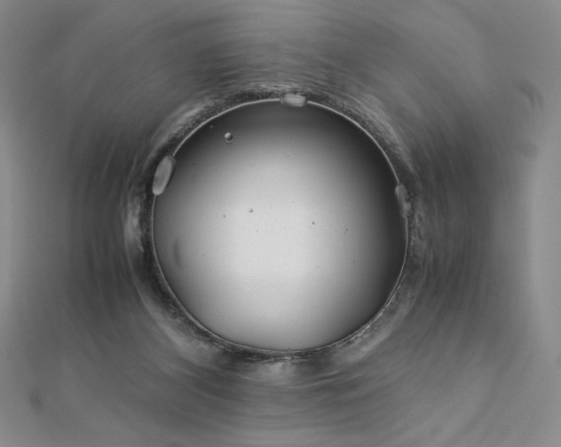 X0000113150116200909041242