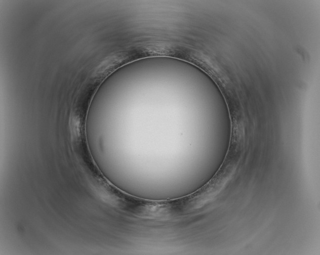 X0000113150117200909041242