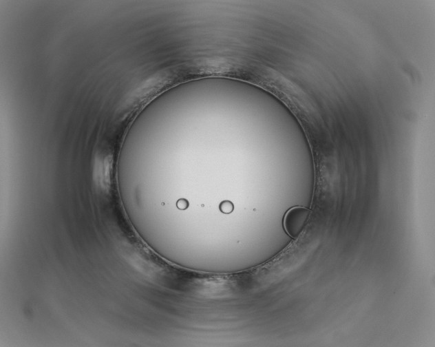 X0000113150118200909041242