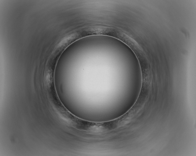 X0000113150119200909041242