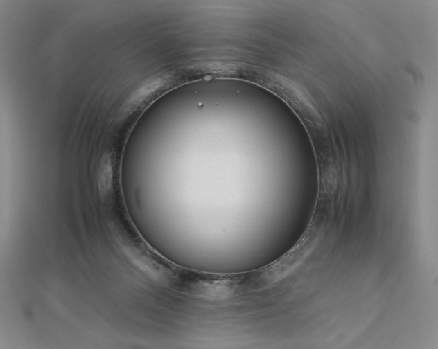 X0000113150120200909041242