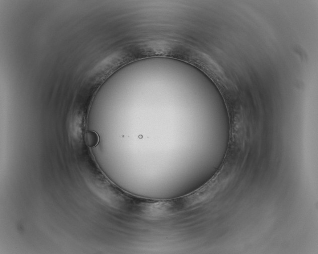 X0000113150122200909041242