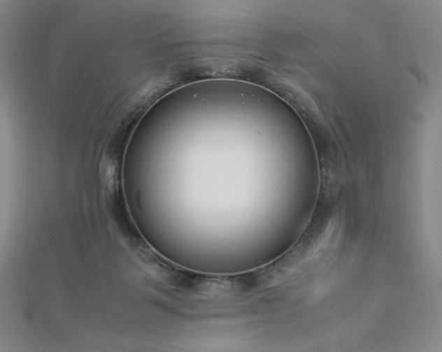 X0000113150123200909041242