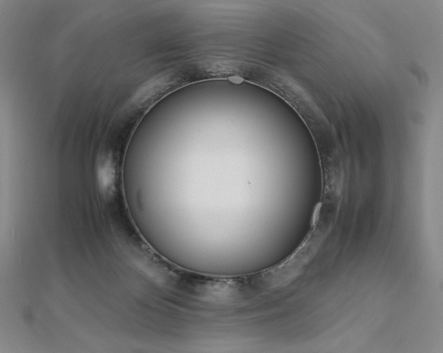 X0000113150124200909041242