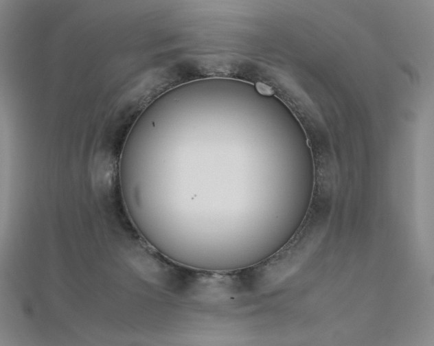 X0000113150125200909041242