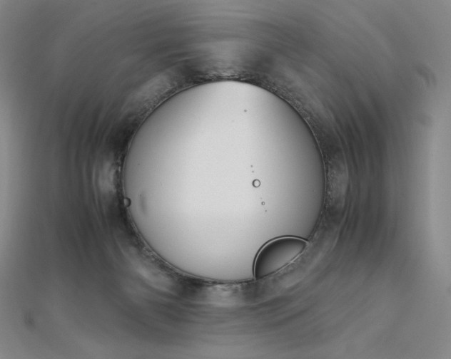 X0000113150126200909041242