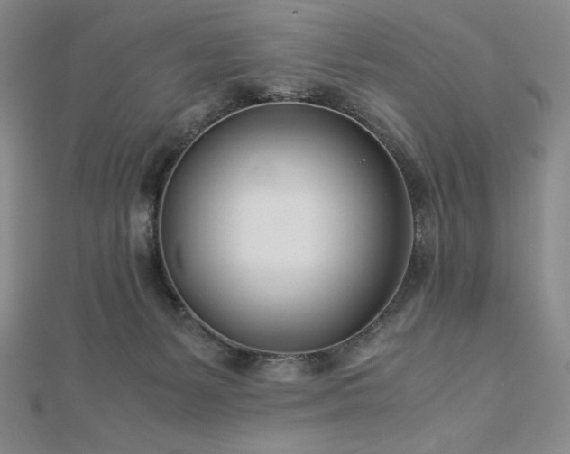 X0000113150127200909041242