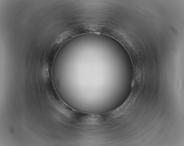 X0000113150128200909041242