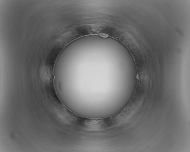 X0000113150129200909041242