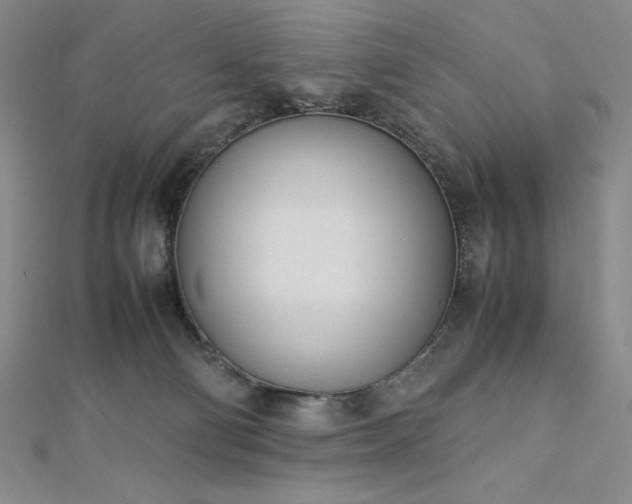 X0000113150130200909041242