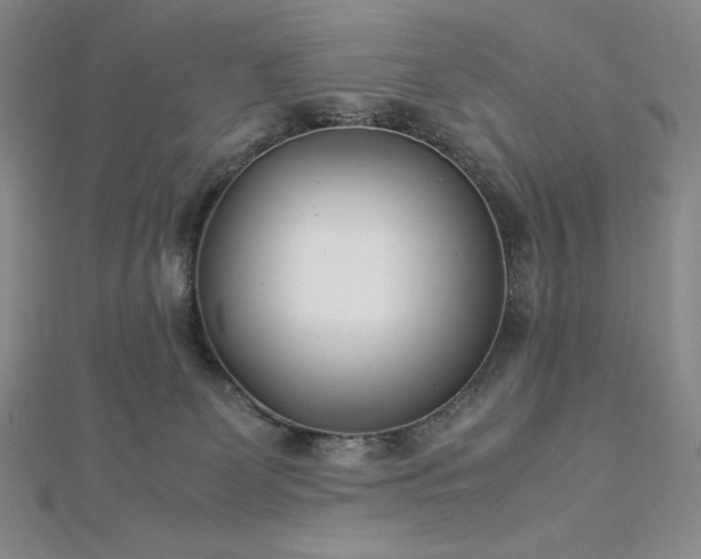 X0000113150131200909041242