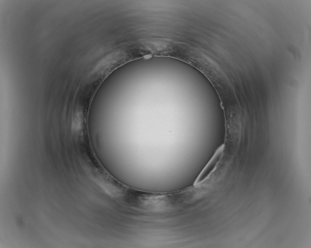 X0000113150132200909041242