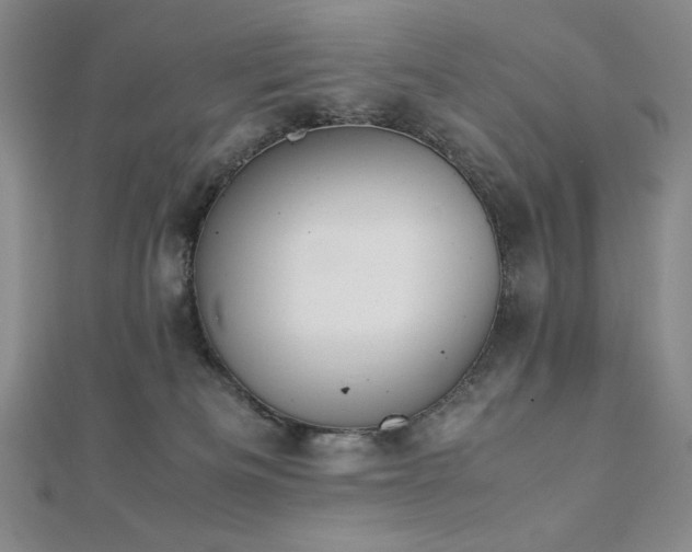 X0000113150133200909041242