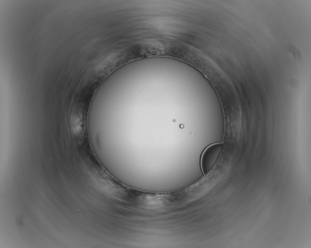 X0000113150134200909041242