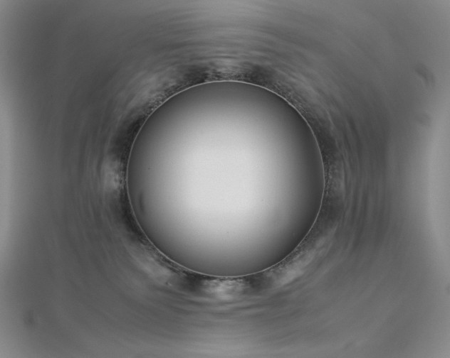 X0000113150135200909041242