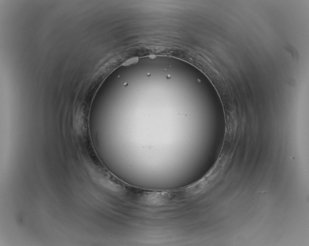 X0000113150136200909041242