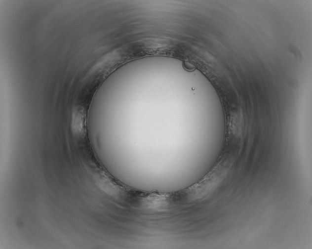 X0000113150138200909041242