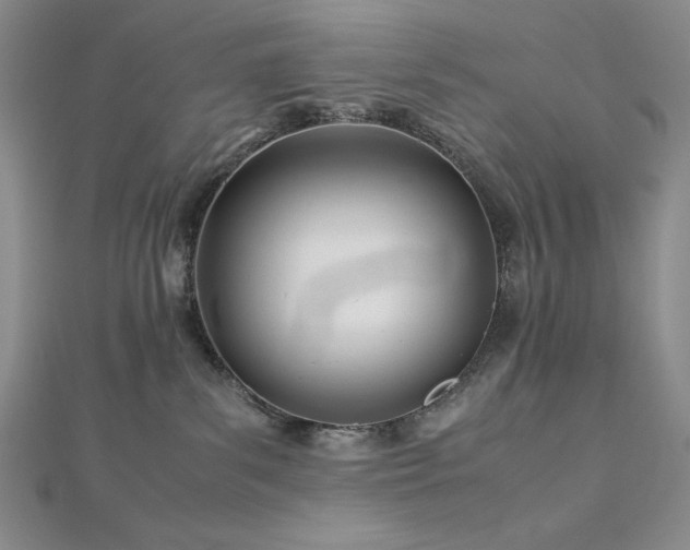 X0000113150139200909041242