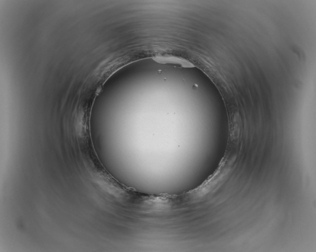 X0000113150140200909041242