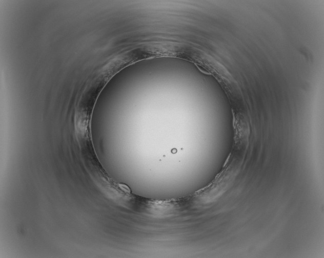 X0000113150141200909041242