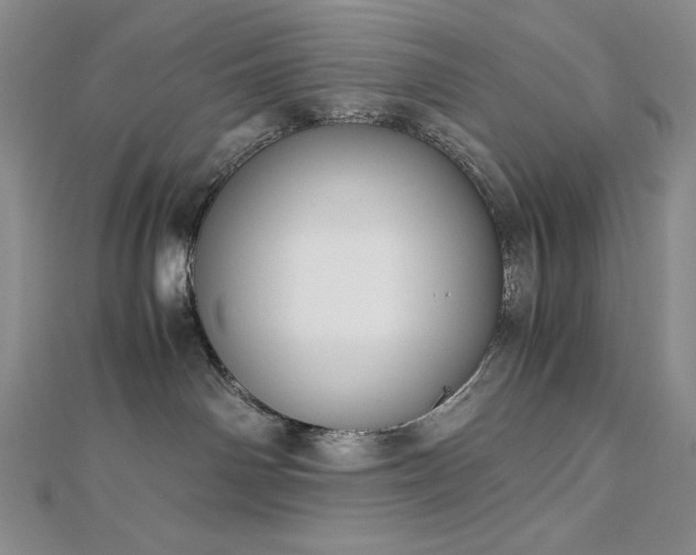 X0000113150142200909041242